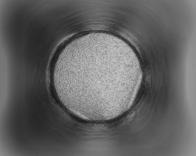 X0000094820979200712071242