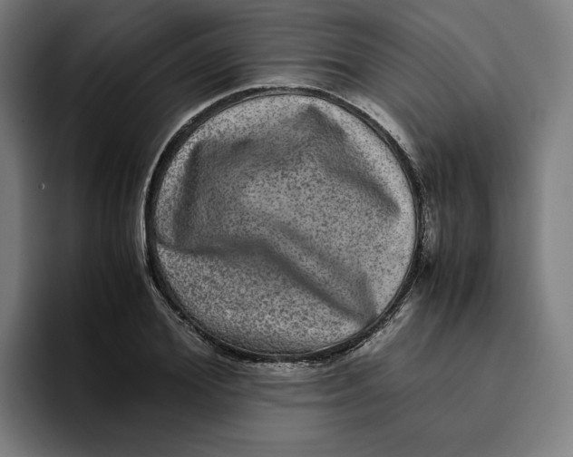 X0000094820980200712071242