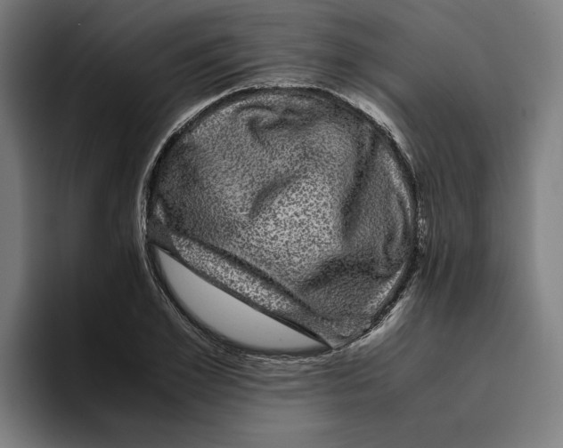 X0000094820981200712071242