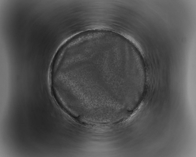 X0000094820983200712071242