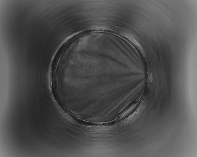 X0000094820984200712071242