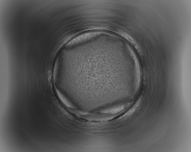 X0000094820985200712071242