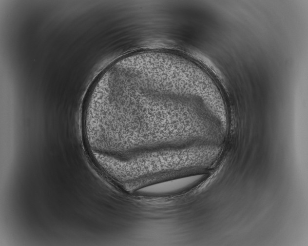 X0000094820986200712071242