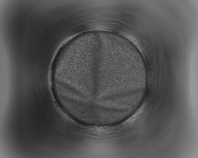 X0000094820987200712071242