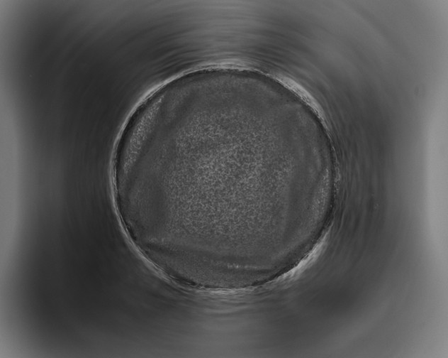 X0000094820989200712071242