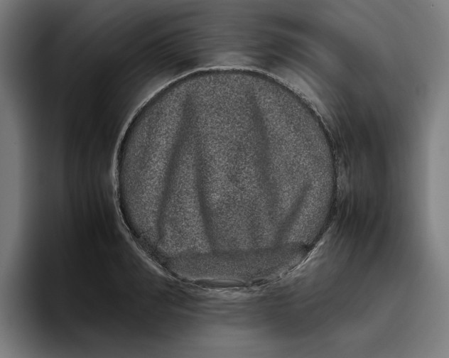 X0000094820990200712071242