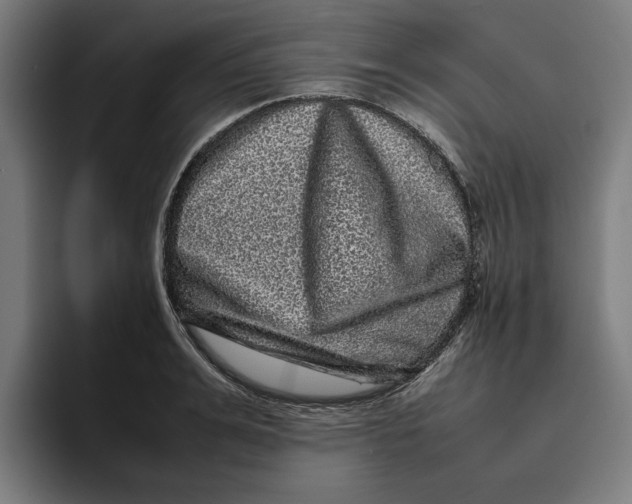 X0000094820991200712071242