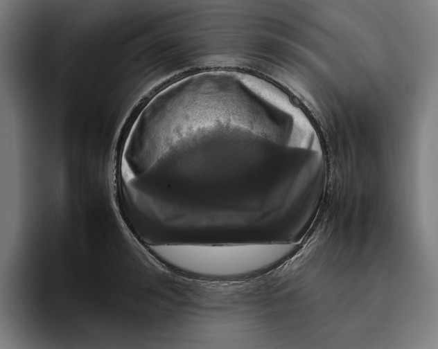 X0000094820992200712071242