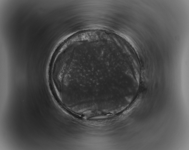 X0000094820995200712071242