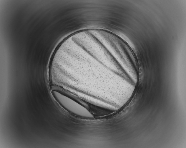 X0000094820996200712071242