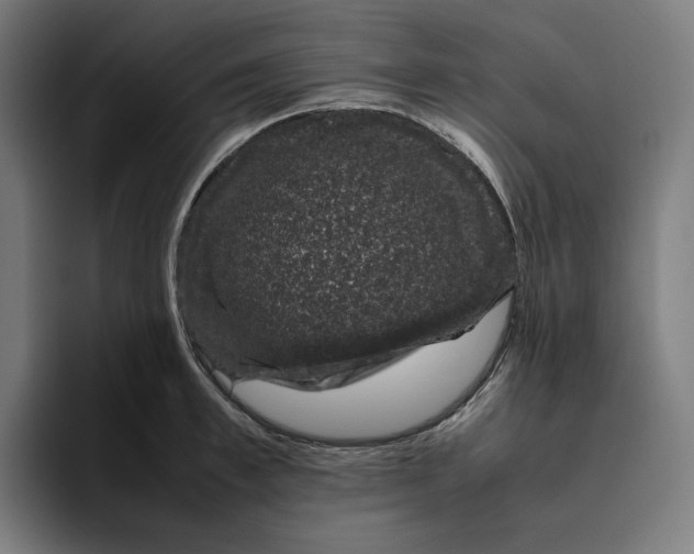 X0000094820997200712071242