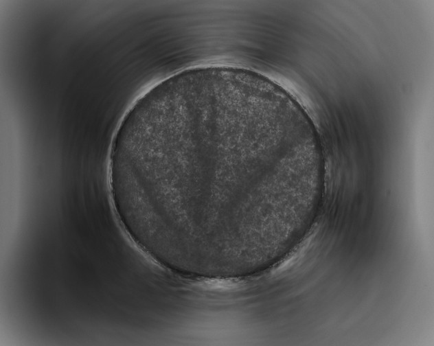 X0000094820998200712071242