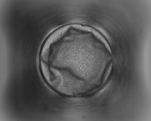 X0000094820999200712071242