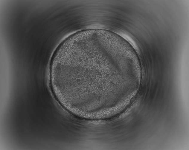 X0000094821000200712071242