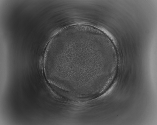 X0000094821001200712071242