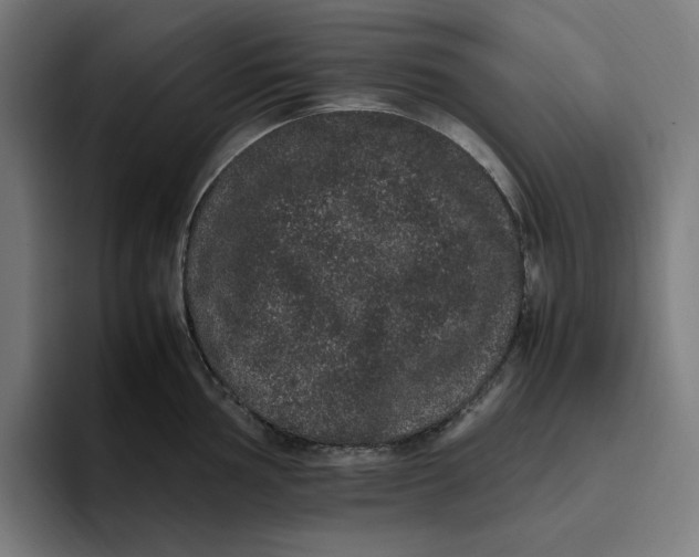 X0000094821002200712071242