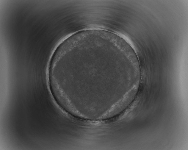 X0000094821003200712071242