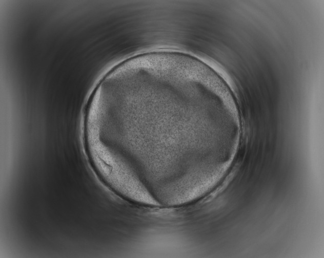 X0000094821006200712071242