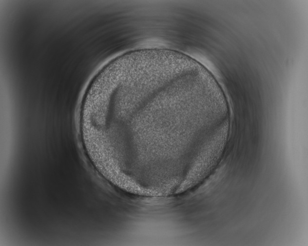 X0000094821008200712071242