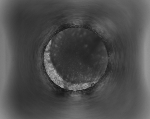 X0000094821009200712071241