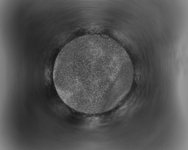 X0000094821010200712071241