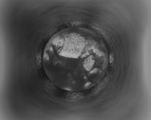 X0000094821011200712071241