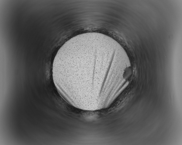 X0000094821012200712071241