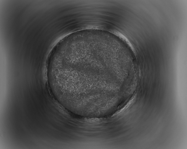 X0000094821019200712071241