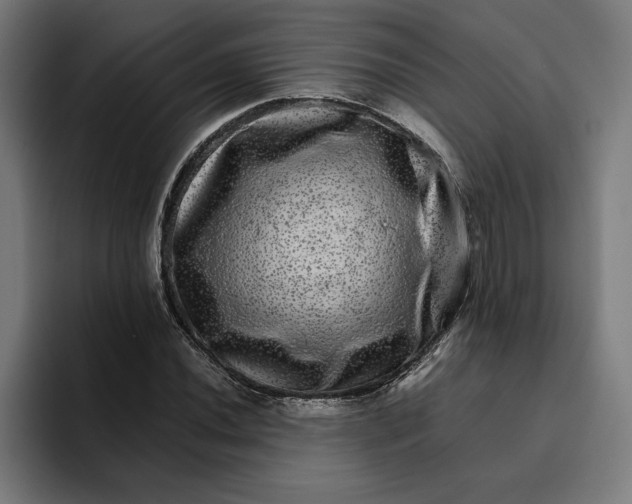 X0000094821020200712071241