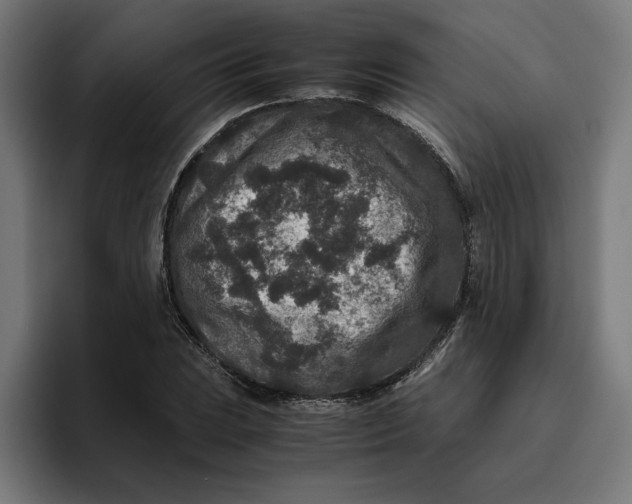 X0000094821023200712071241