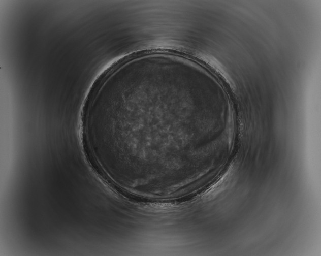 X0000094821024200712071241