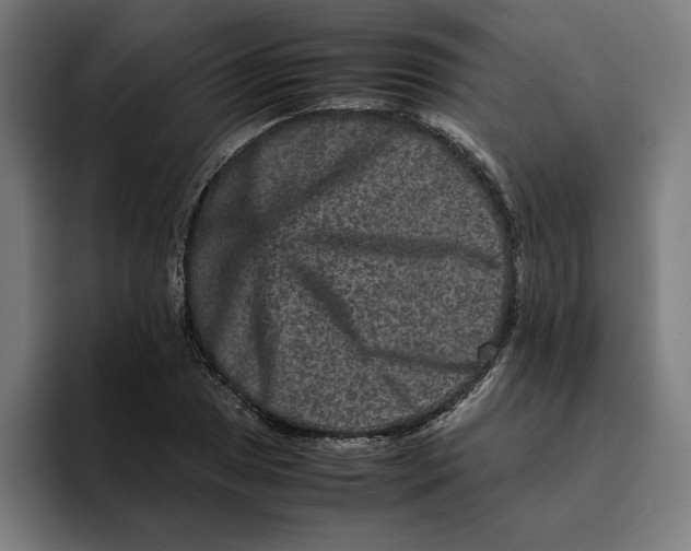 X0000094821025200712071241