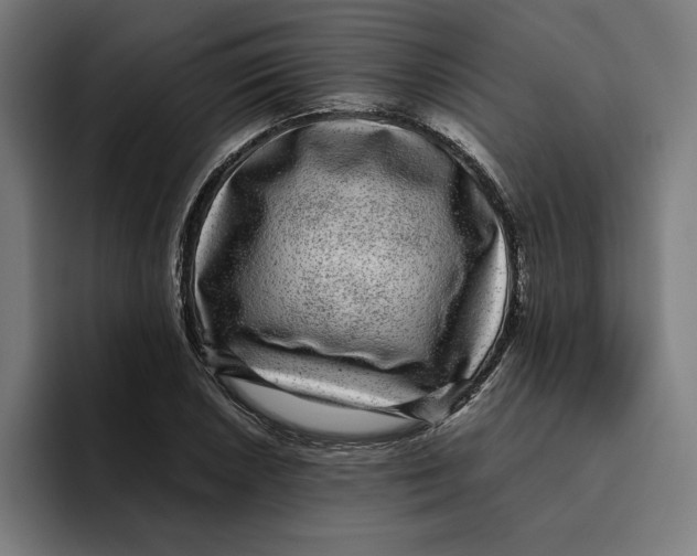 X0000094821026200712071241