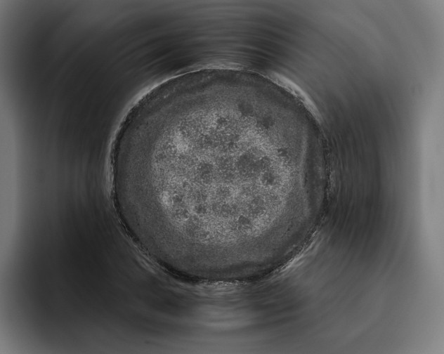 X0000094821027200712071241