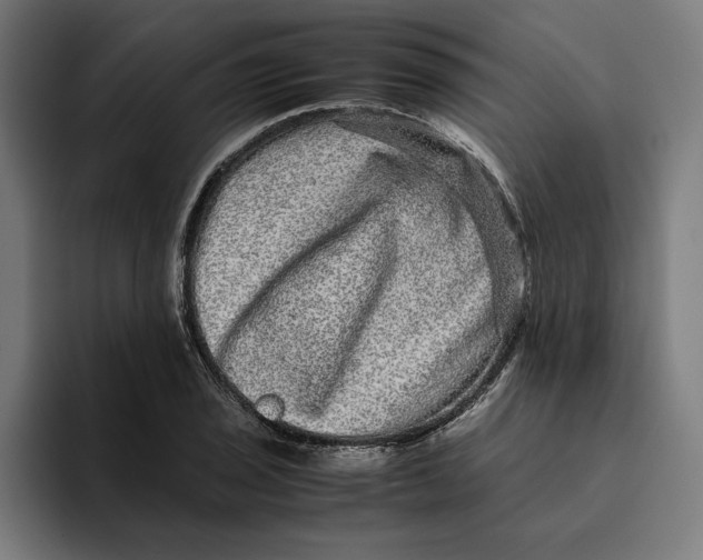 X0000094821029200712071241