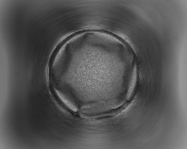 X0000094821030200712071241