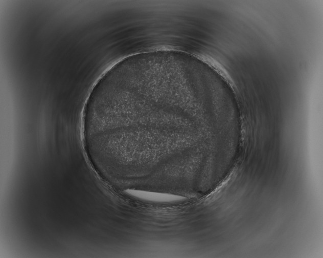 X0000094821031200712071241