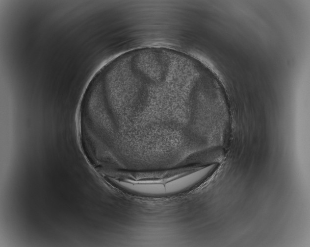 X0000094821032200712071242