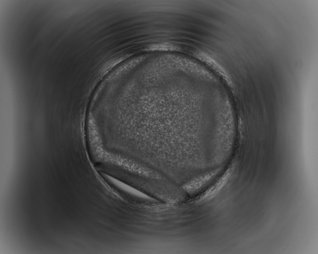 X0000094821033200712071242