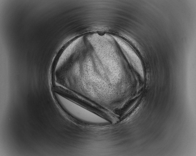 X0000094821034200712071242