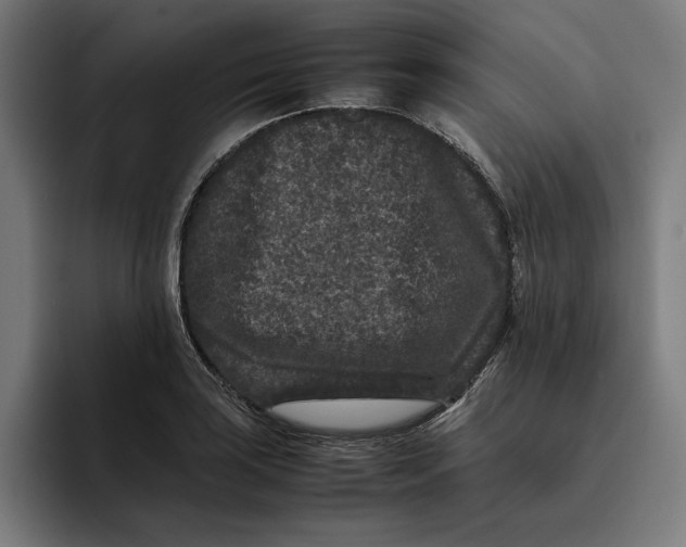 X0000094821035200712071242