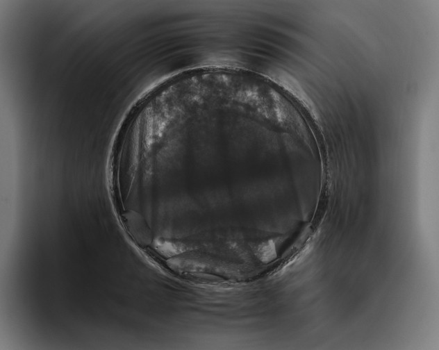 X0000094821037200712071242