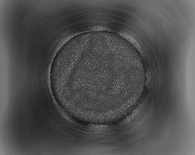 X0000094821039200712071242