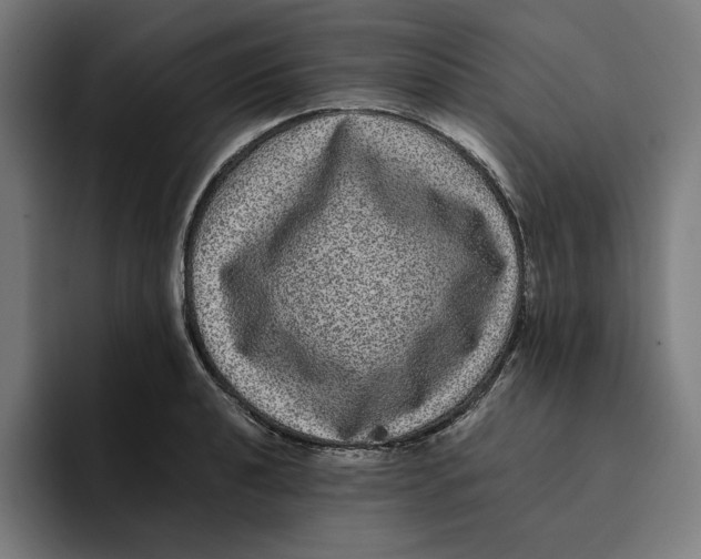 X0000094821040200712071242