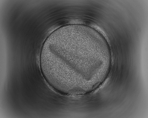 X0000094821041200712071242