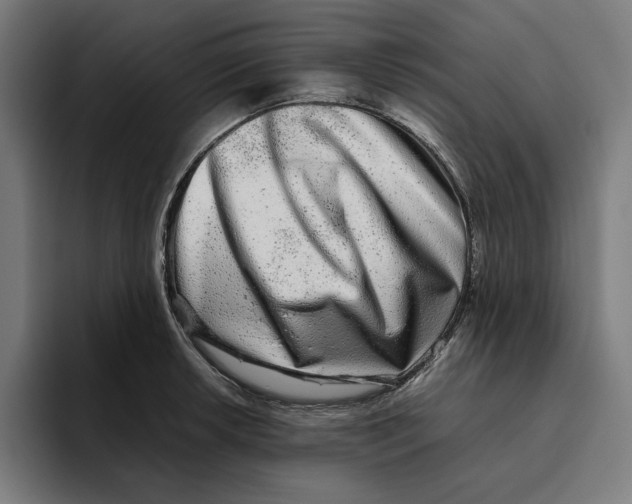 X0000094821042200712071242