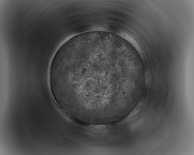 X0000094821043200712071242