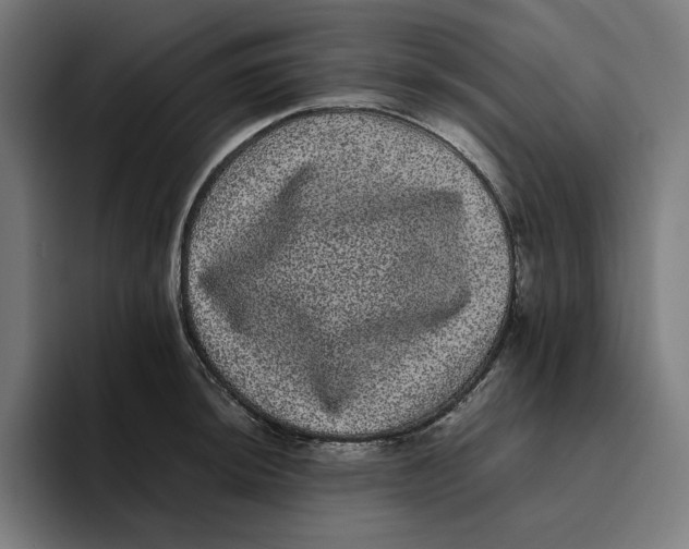 X0000094821044200712071242