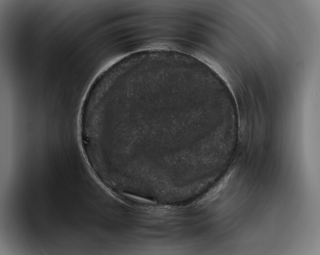 X0000094821045200712071242