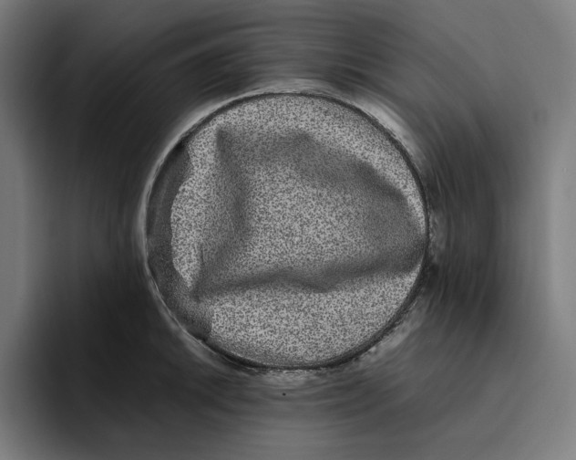 X0000094821046200712071242